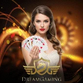 DG0013 Game